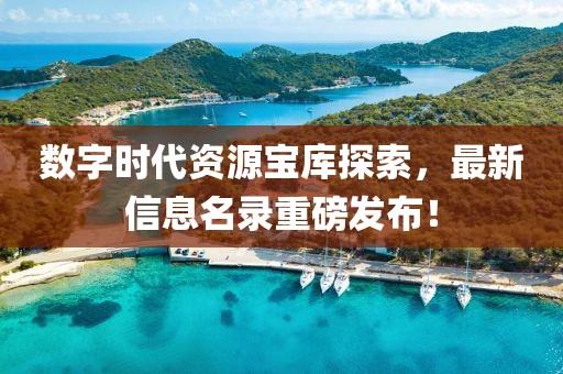 数字时代资源宝库探索，最新信息名录重磅发布！