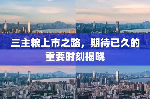 三主粮上市之路，期待已久的重要时刻揭晓