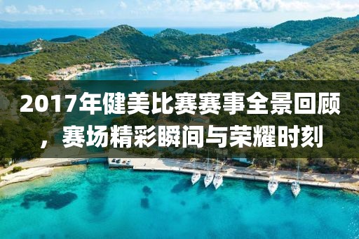 2017年健美比赛赛事全景回顾，赛场精彩瞬间与荣耀时刻