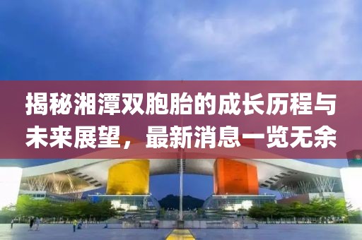 揭秘湘潭双胞胎的成长历程与未来展望，最新消息一览无余