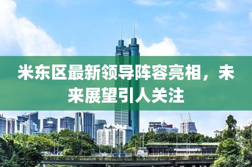 米东区最新领导阵容亮相，未来展望引人关注
