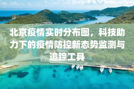 北京疫情实时分布图，科技助力下的疫情防控新态势监测与追踪工具