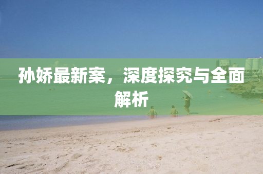 孙娇最新案，深度探究与全面解析