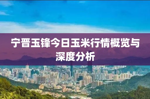 宁晋玉锋今日玉米行情概览与深度分析