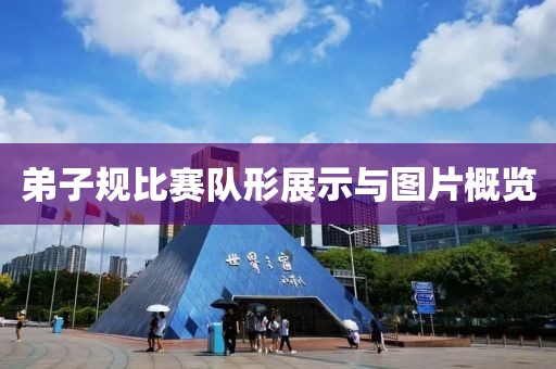 弟子规比赛队形展示与图片概览