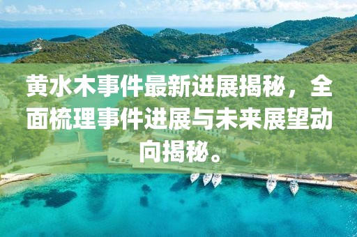 黄水木事件最新进展揭秘，全面梳理事件进展与未来展望动向揭秘。