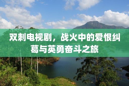 双刺电视剧，战火中的爱恨纠葛与英勇奋斗之旅
