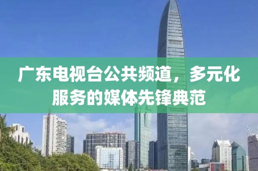 广东电视台公共频道，多元化服务的媒体先锋典范