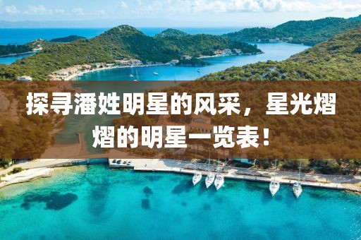 探寻潘姓明星的风采，星光熠熠的明星一览表！