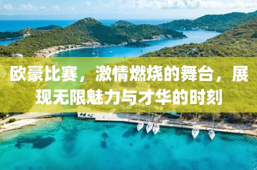 欧豪比赛，激情燃烧的舞台，展现无限魅力与才华的时刻