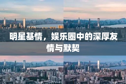 明星基情，娱乐圈中的深厚友情与默契
