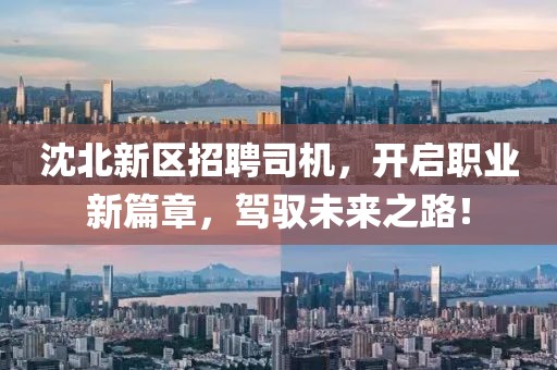 沈北新区招聘司机，开启职业新篇章，驾驭未来之路！