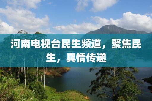 河南电视台民生频道，聚焦民生，真情传递