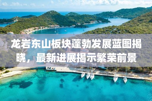 龙岩东山板块蓬勃发展蓝图揭晓，最新进展揭示繁荣前景