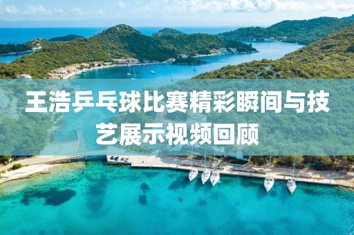 王浩乒乓球比赛精彩瞬间与技艺展示视频回顾