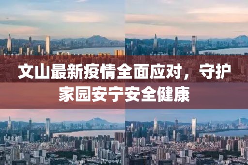 文山最新疫情全面应对，守护家园安宁安全健康