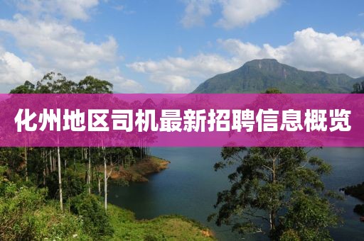 化州地区司机最新招聘信息概览