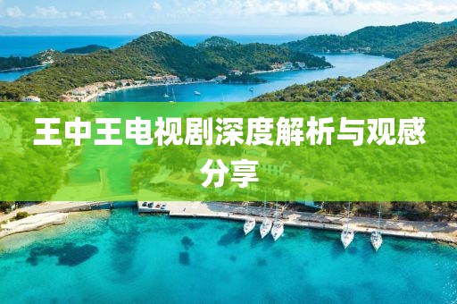 王中王电视剧深度解析与观感分享