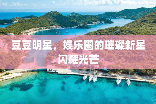 豆豆明星，娱乐圈的璀璨新星闪耀光芒