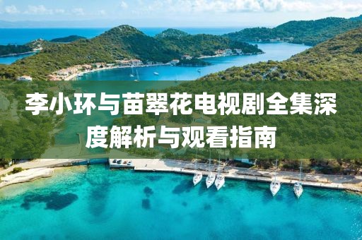 李小环与苗翠花电视剧全集深度解析与观看指南
