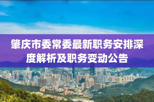 肇庆市委常委最新职务安排深度解析及职务变动公告