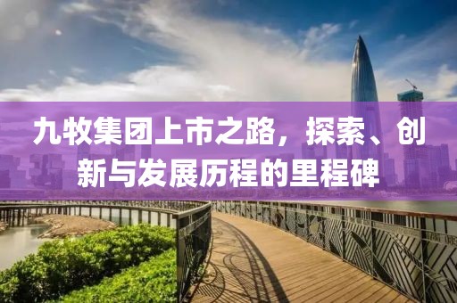 九牧集团上市之路，探索、创新与发展历程的里程碑