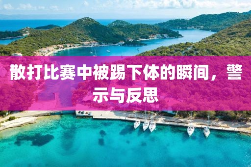 散打比赛中被踢下体的瞬间，警示与反思