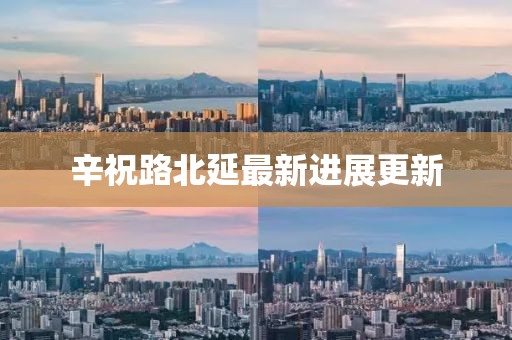 辛祝路北延最新进展更新