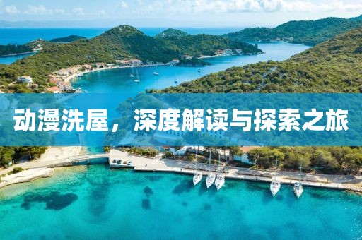 动漫洗屋，深度解读与探索之旅