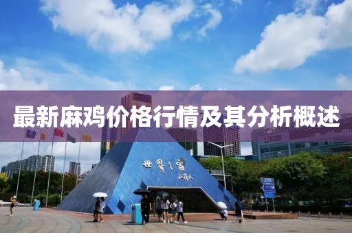 最新麻鸡价格行情及其分析概述