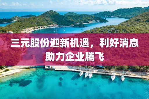 三元股份迎新机遇，利好消息助力企业腾飞
