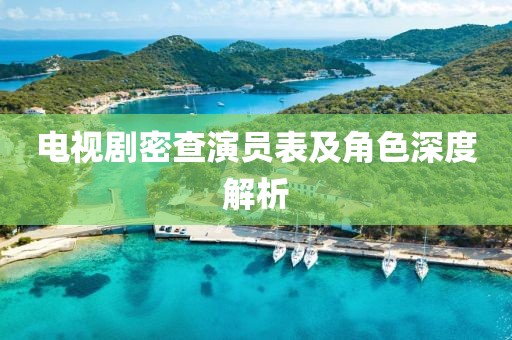 电视剧密查演员表及角色深度解析