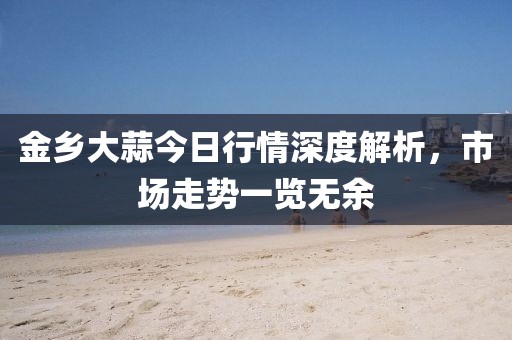 金乡大蒜今日行情深度解析，市场走势一览无余