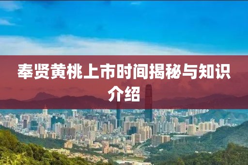 奉贤黄桃上市时间揭秘与知识介绍