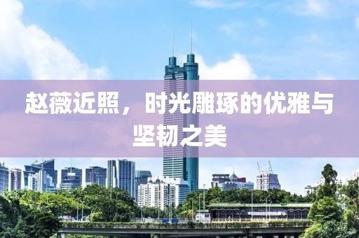 赵薇近照，时光雕琢的优雅与坚韧之美