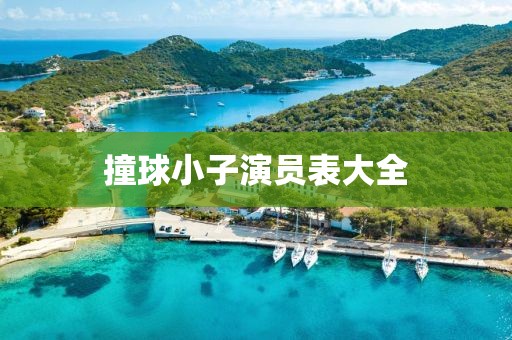 撞球小子演员表大全