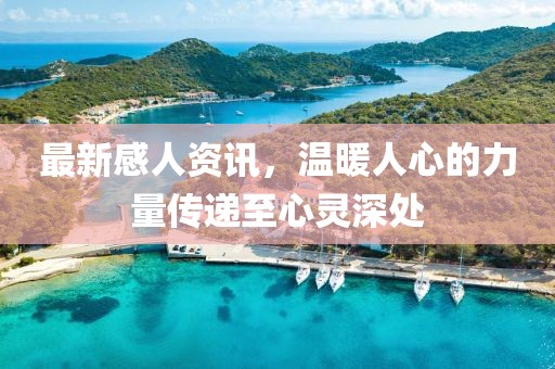 最新感人资讯，温暖人心的力量传递至心灵深处