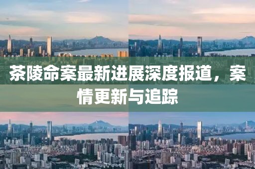 茶陵命案最新进展深度报道，案情更新与追踪