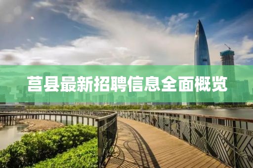 莒县最新招聘信息全面概览