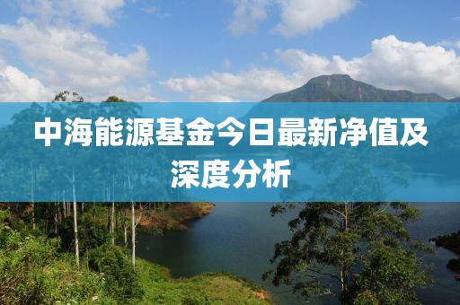 中海能源基金今日最新净值及深度分析