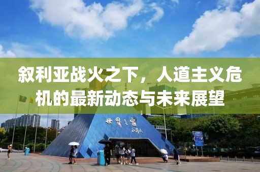 叙利亚战火之下，人道主义危机的最新动态与未来展望