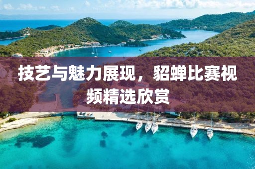 技艺与魅力展现，貂蝉比赛视频精选欣赏