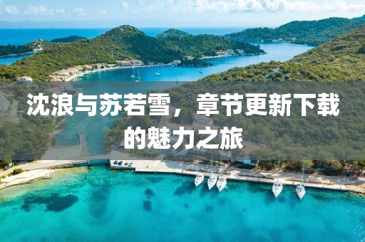 沈浪与苏若雪，章节更新下载的魅力之旅