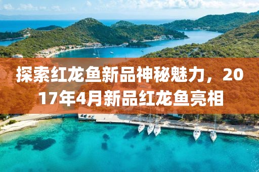 探索红龙鱼新品神秘魅力，2017年4月新品红龙鱼亮相