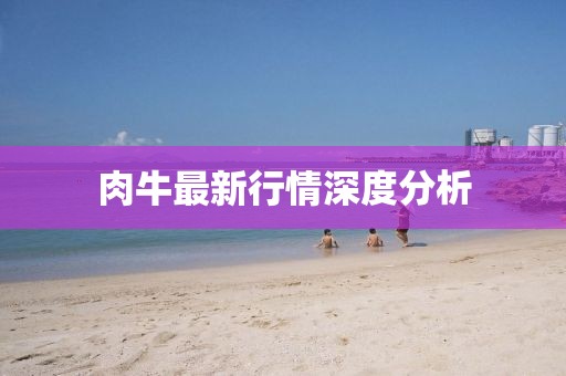 安静的河 第14页