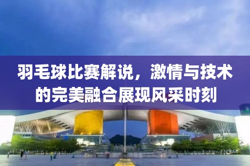 羽毛球比赛解说，激情与技术的完美融合展现风采时刻