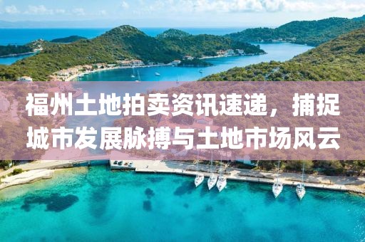 福州土地拍卖资讯速递，捕捉城市发展脉搏与土地市场风云