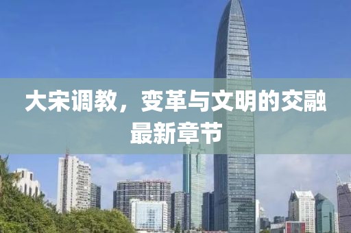 大宋调教，变革与文明的交融最新章节