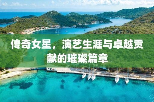 传奇女星，演艺生涯与卓越贡献的璀璨篇章