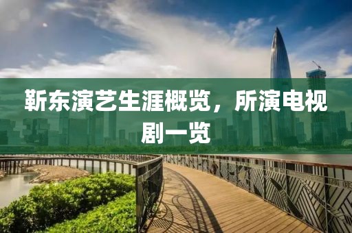 靳东演艺生涯概览，所演电视剧一览
